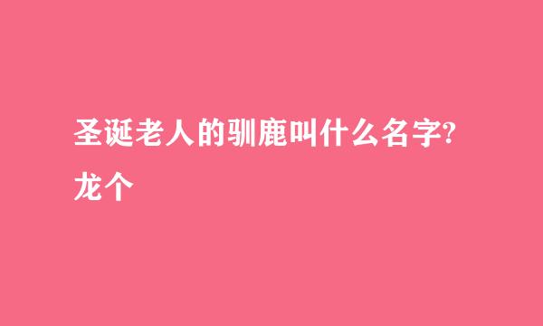 圣诞老人的驯鹿叫什么名字?龙个