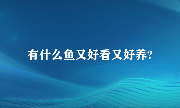 有什么鱼又好看又好养?