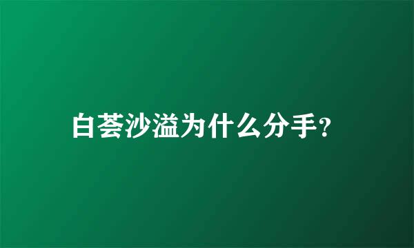 白荟沙溢为什么分手？