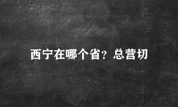 西宁在哪个省？总营切