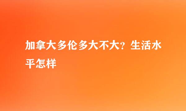 加拿大多伦多大不大？生活水平怎样