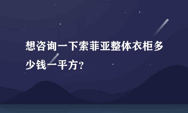 想咨询一下索菲亚整体衣柜多少钱一平方？