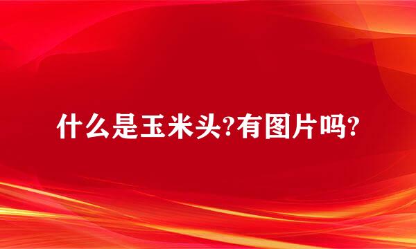 什么是玉米头?有图片吗?