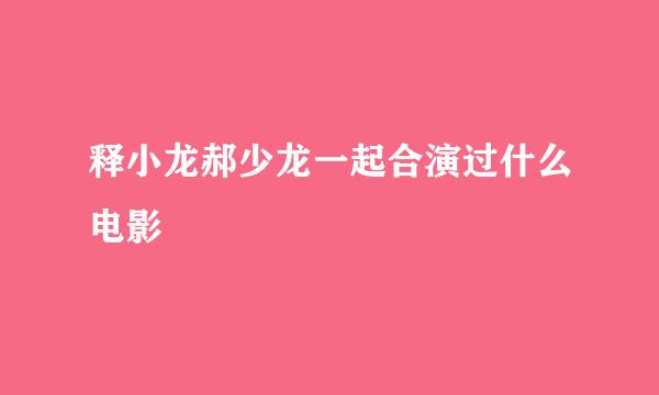 释小龙郝少龙一起合演过什么电影