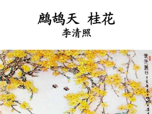 何须浅碧轻红色 自是花中第一流 花指的是什么？