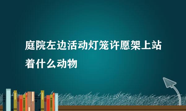 庭院左边活动灯笼许愿架上站着什么动物