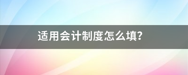 适用会计制度怎么填？