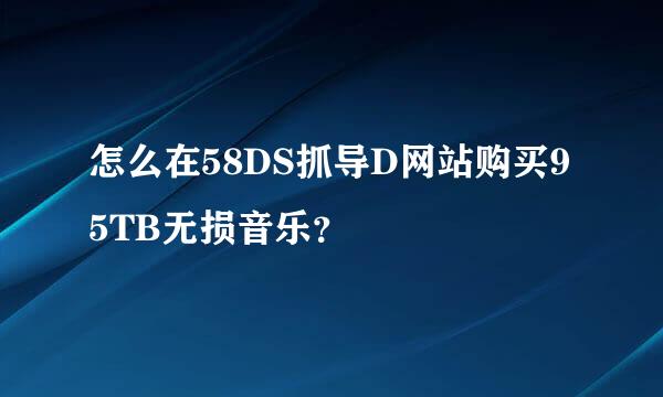 怎么在58DS抓导D网站购买95TB无损音乐？