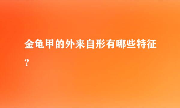 金龟甲的外来自形有哪些特征？