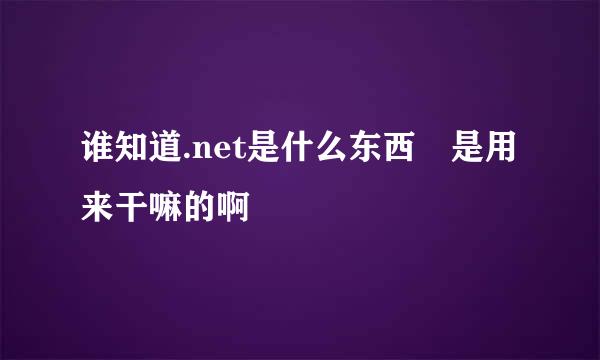 谁知道.net是什么东西 是用来干嘛的啊