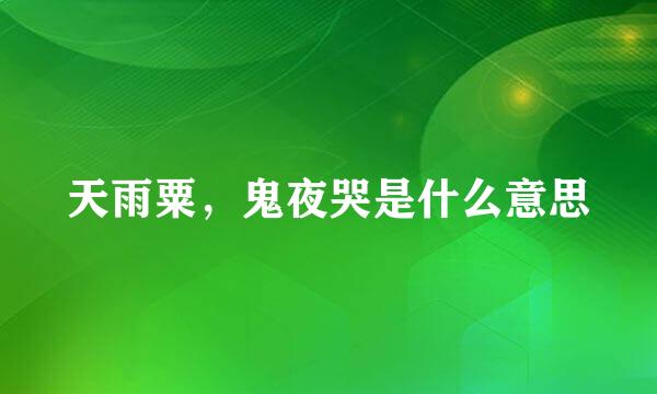 天雨粟，鬼夜哭是什么意思