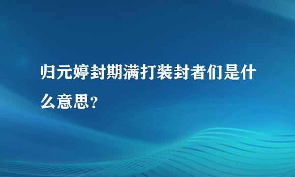 归元婷封期满打装封者们是什么意思？