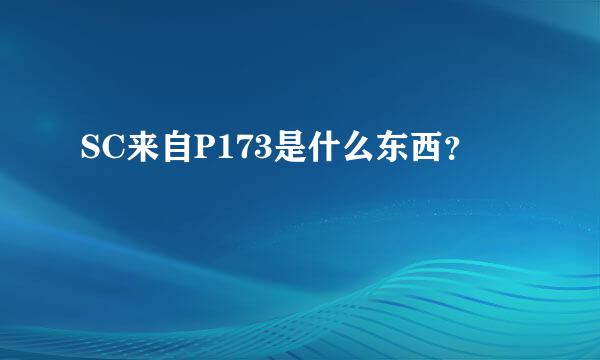 SC来自P173是什么东西？