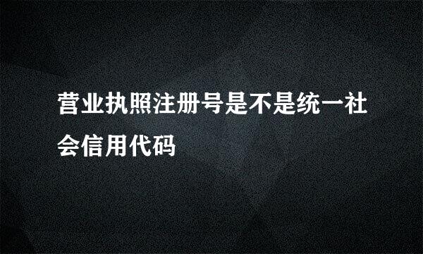 营业执照注册号是不是统一社会信用代码