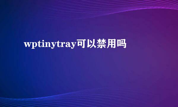 wptinytray可以禁用吗