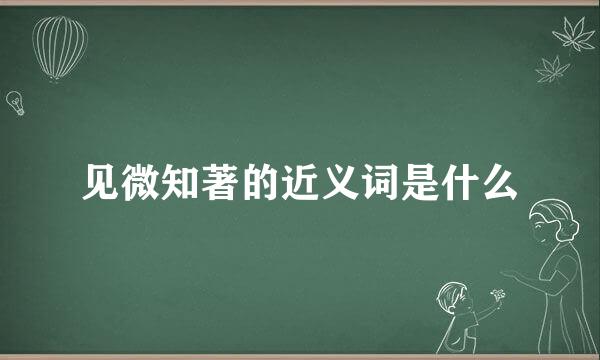 见微知著的近义词是什么