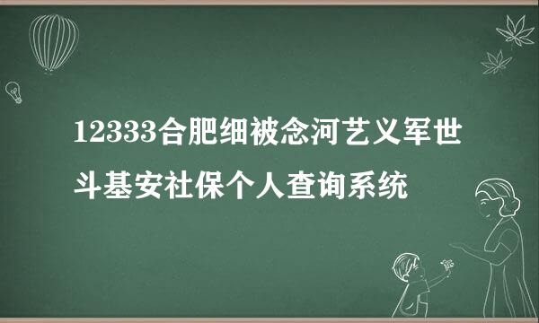 12333合肥细被念河艺义军世斗基安社保个人查询系统