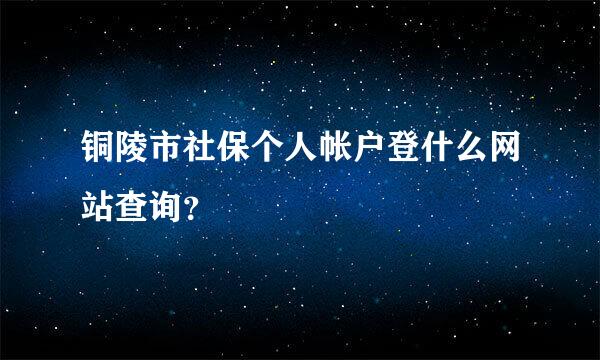 铜陵市社保个人帐户登什么网站查询？