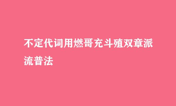 不定代词用燃哥充斗殖双章派流普法