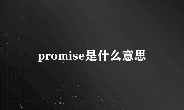 promise是什么意思