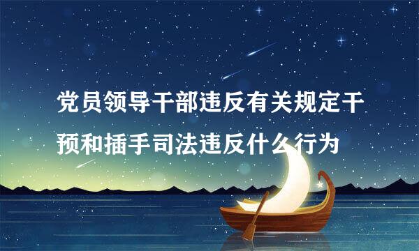 党员领导干部违反有关规定干预和插手司法违反什么行为