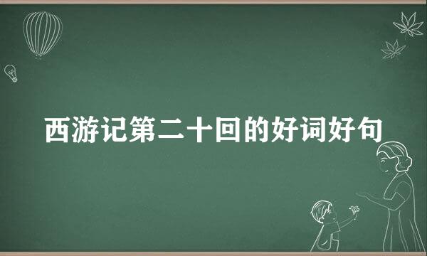 西游记第二十回的好词好句