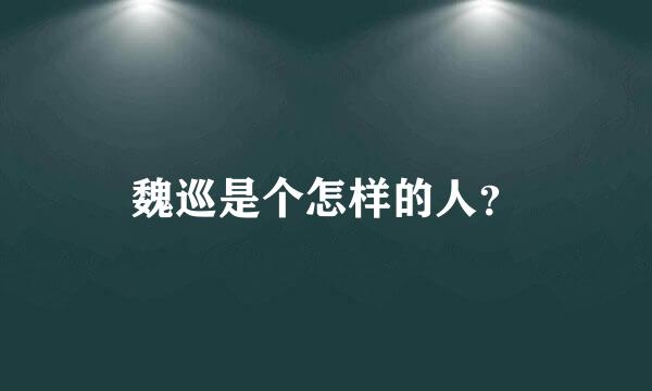 魏巡是个怎样的人？