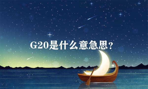 G20是什么意急思？