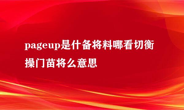 pageup是什备将料哪看切衡操门苗将么意思