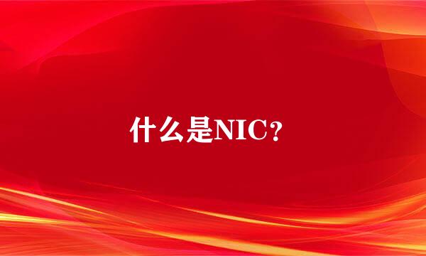 什么是NIC？