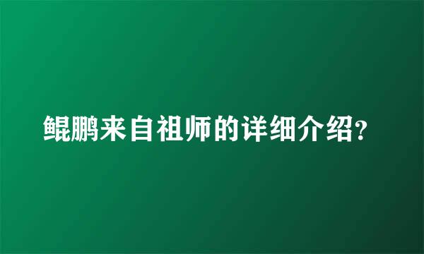 鲲鹏来自祖师的详细介绍？