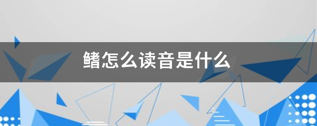 鳍怎么读音是什么