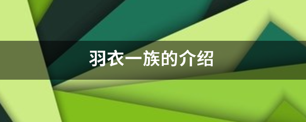 羽衣一族的介绍