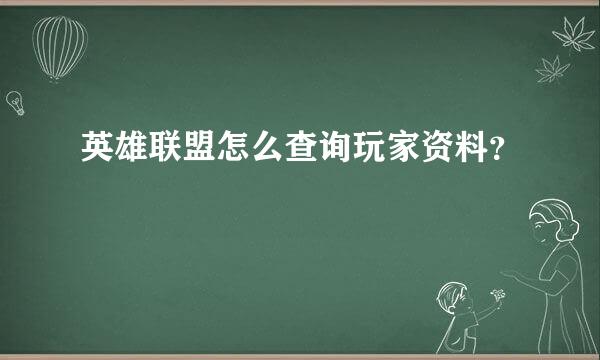 英雄联盟怎么查询玩家资料？