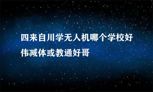 四来自川学无人机哪个学校好伟减体或教通好哥