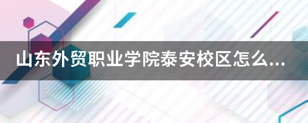 山东外贸职业学院泰安校区怎么样？