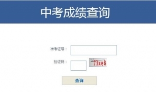 中考成绩查询