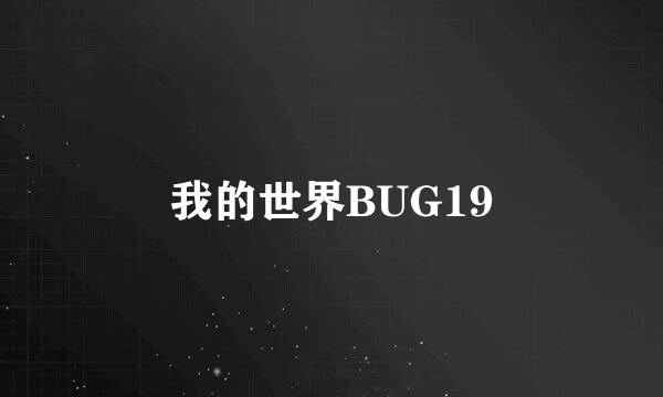 我的世界BUG19