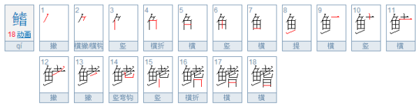 鳍怎么读音是什么