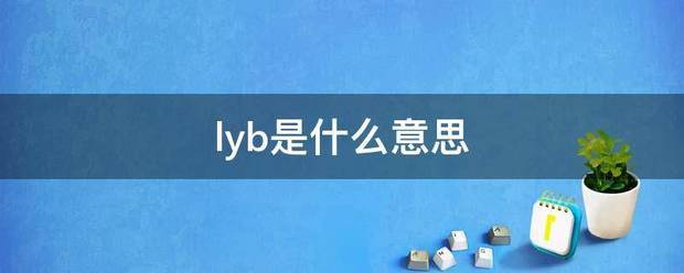 lyb是什么意思