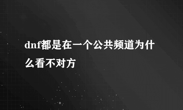 dnf都是在一个公共频道为什么看不对方