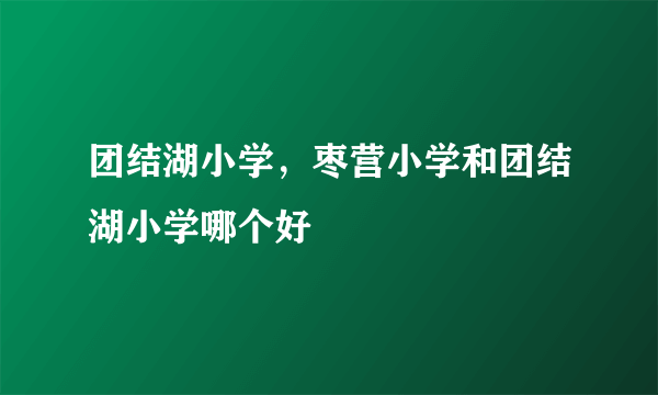 团结湖小学，枣营小学和团结湖小学哪个好