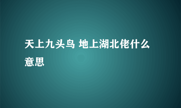 天上九头鸟 地上湖北佬什么意思