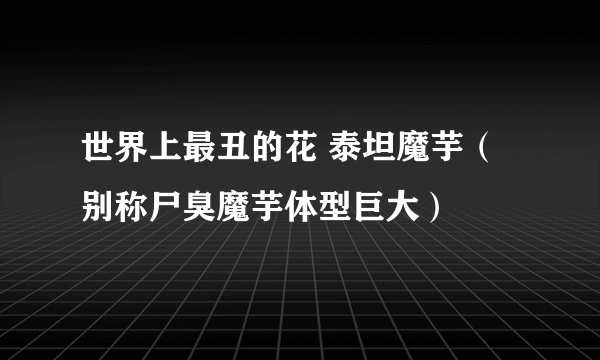 世界上最丑的花 泰坦魔芋（别称尸臭魔芋体型巨大）