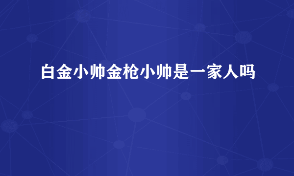 白金小帅金枪小帅是一家人吗