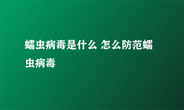 蠕虫病毒是什么 怎么防范蠕虫病毒