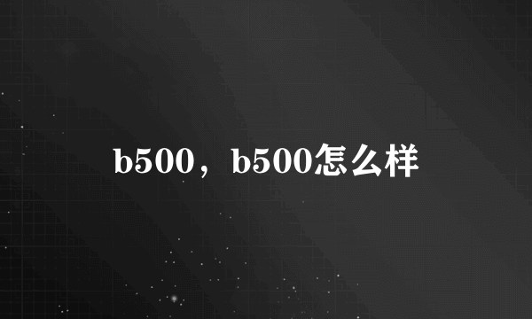 b500，b500怎么样