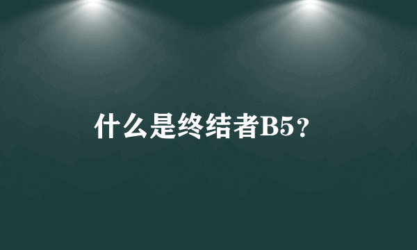 什么是终结者B5？