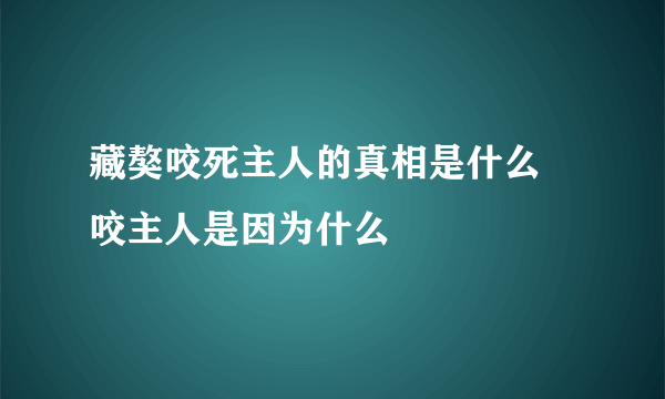 藏獒咬死主人的真相是什么 咬主人是因为什么