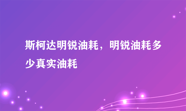 斯柯达明锐油耗，明锐油耗多少真实油耗